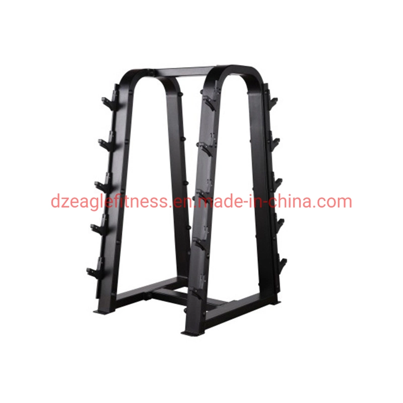 Commercial High quality/High cost performance 2 Tier 10 Pair Gym Dumbbell Storage Rack