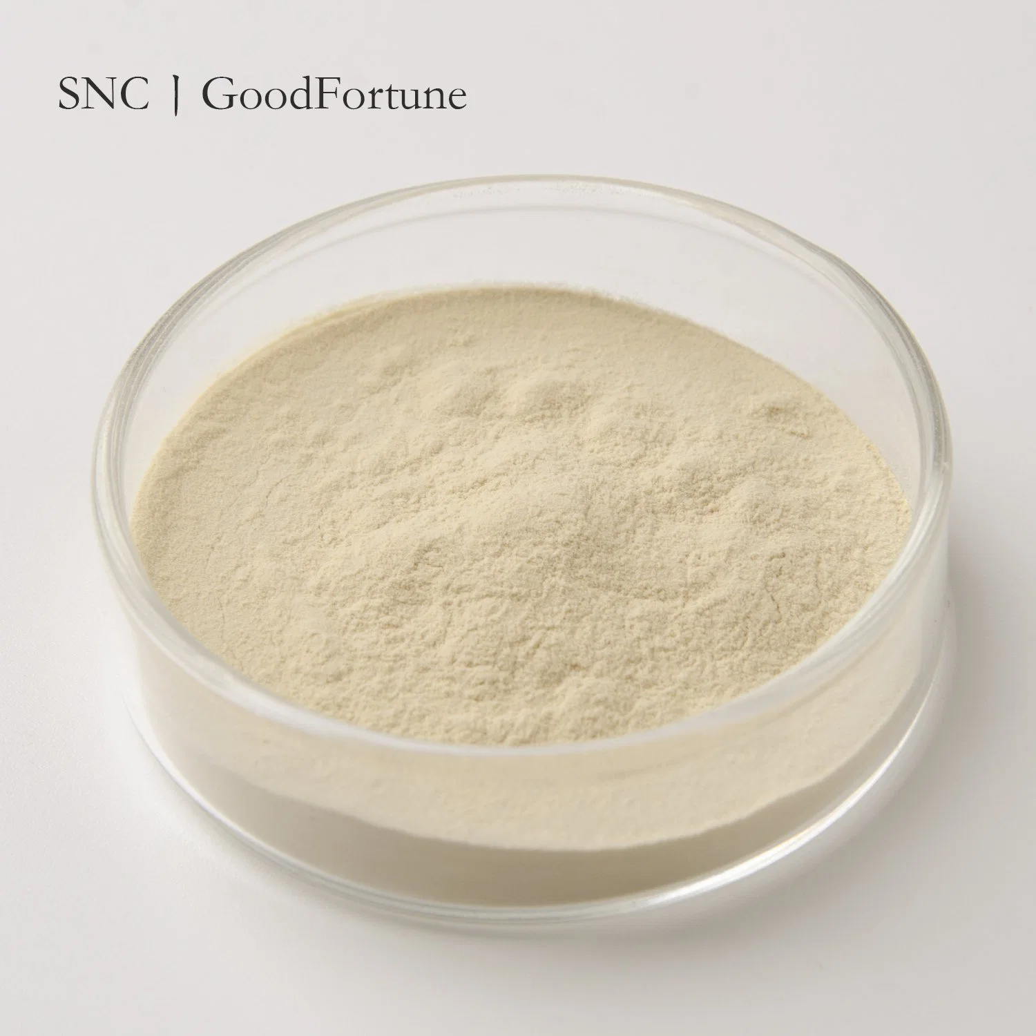 Top Quality Grape Seed Extract for Antioxidation / Natural Anti-Oxidant CAS 84929-27-1 Grape Seed Extract