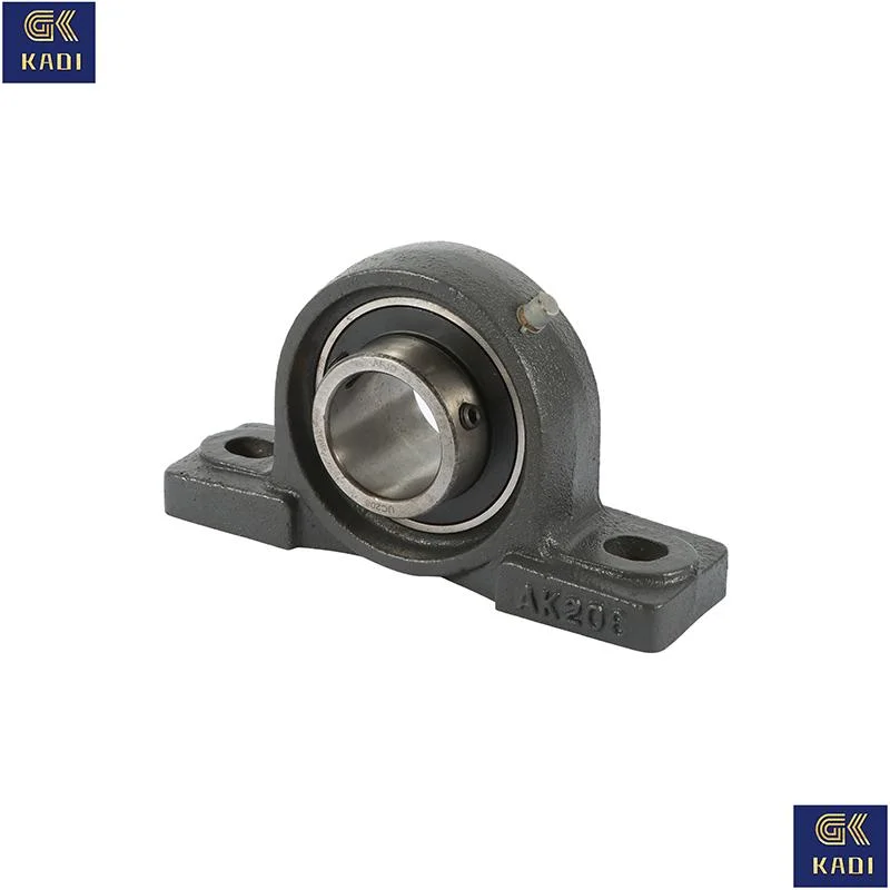 Ucpa213 Made in China Pillow Block Bearing with Housing Insert Bearing