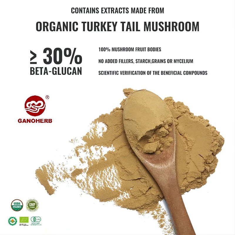 Promotion Price Yunzhi Mushroom Powder Coriolus Versicolor Extract Food Grade Turkey Tail Extract Powder