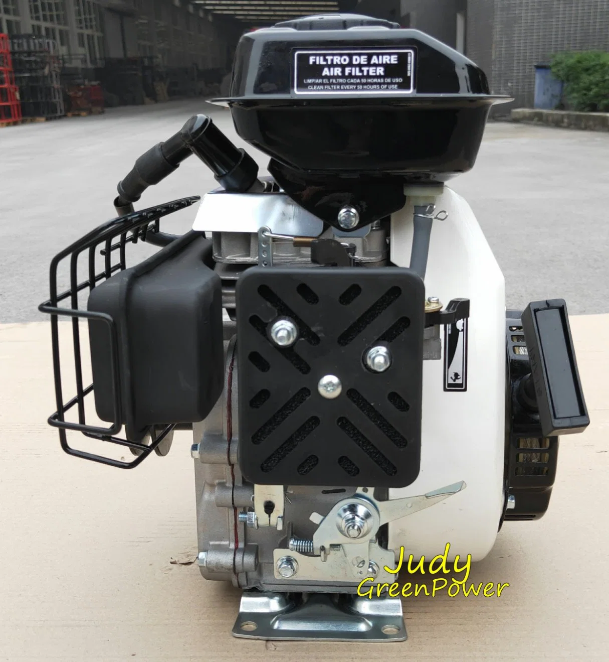 Portable Gasoline Petrol Engine 2.5HP Low Fuel Consumption Agriculture Tools