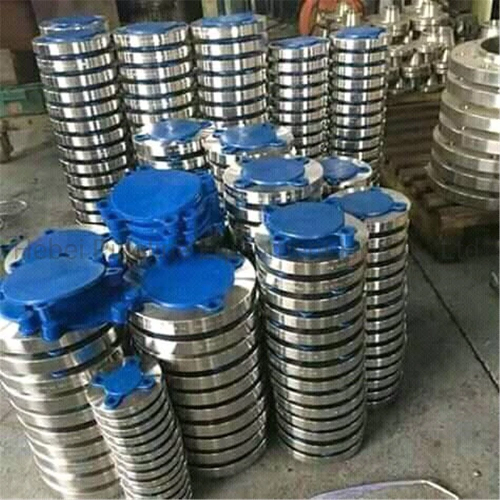 Customized Stainless Steel Investment Casting Flange