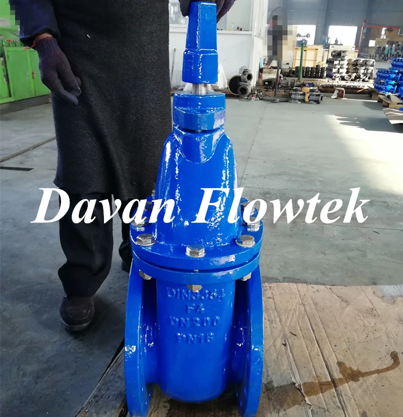 OEM BS5163 Cast Ductile Iron Ggg50 Flanged Metal Seat Non-Rising Stem Handwheel Operated