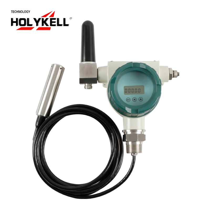 Holykell Hpt613-W Zigbee Wireless Submersible Water Level Transducer