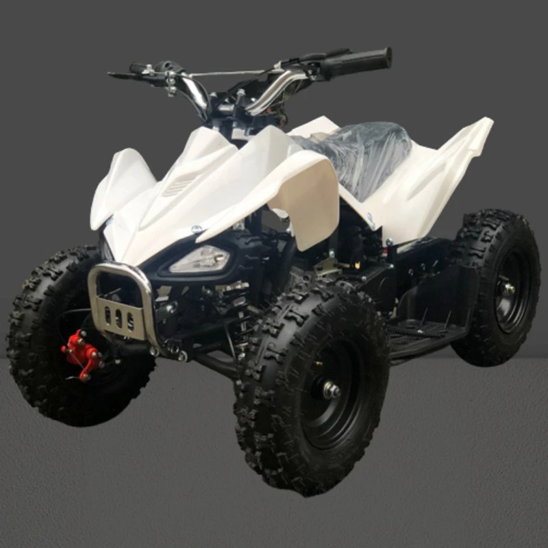 Heißer Verkauf CE guter Preis 49cc Fahrrad ATV Quad