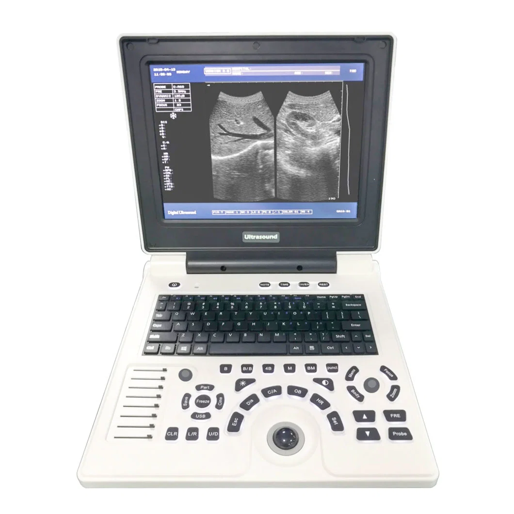 Vet Ultrasound Instruments Portable Laptop Type Pet Animals Cat Dog Ultrasound Machine