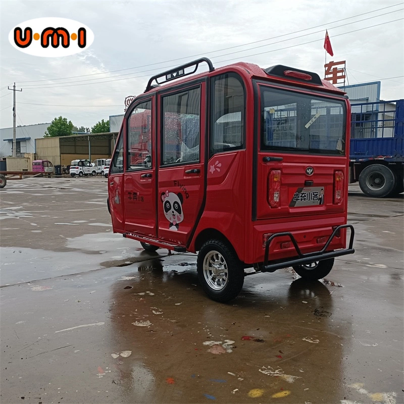 L7e EEC Certificate Electric Car Enclosed Passenger Vehicle Cheap Small SUV Electric Car for Adult