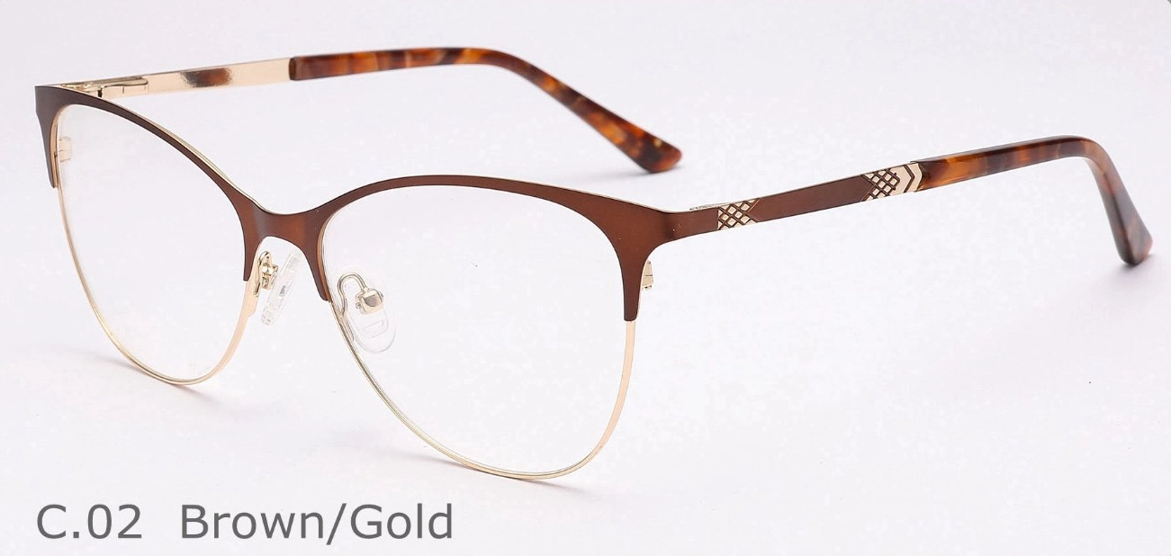 Lunettes tendance haute qualité Acetate Metal Woman verres optiques Cadres