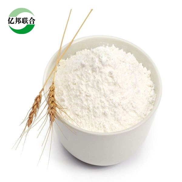 Pure Hydroxyethyl Cellulose HEC Powder Price CAS 9004-62-0 for Building Material