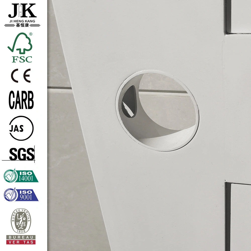 Jhk Plastic Door Design White ABS Door Panel