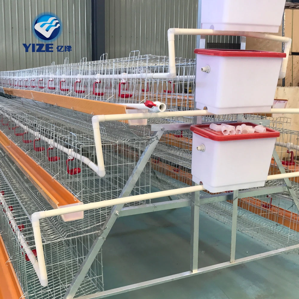 3 oder 4 Layer Chicken Layer Breeing Cage Philippinen für Geflügelfarm