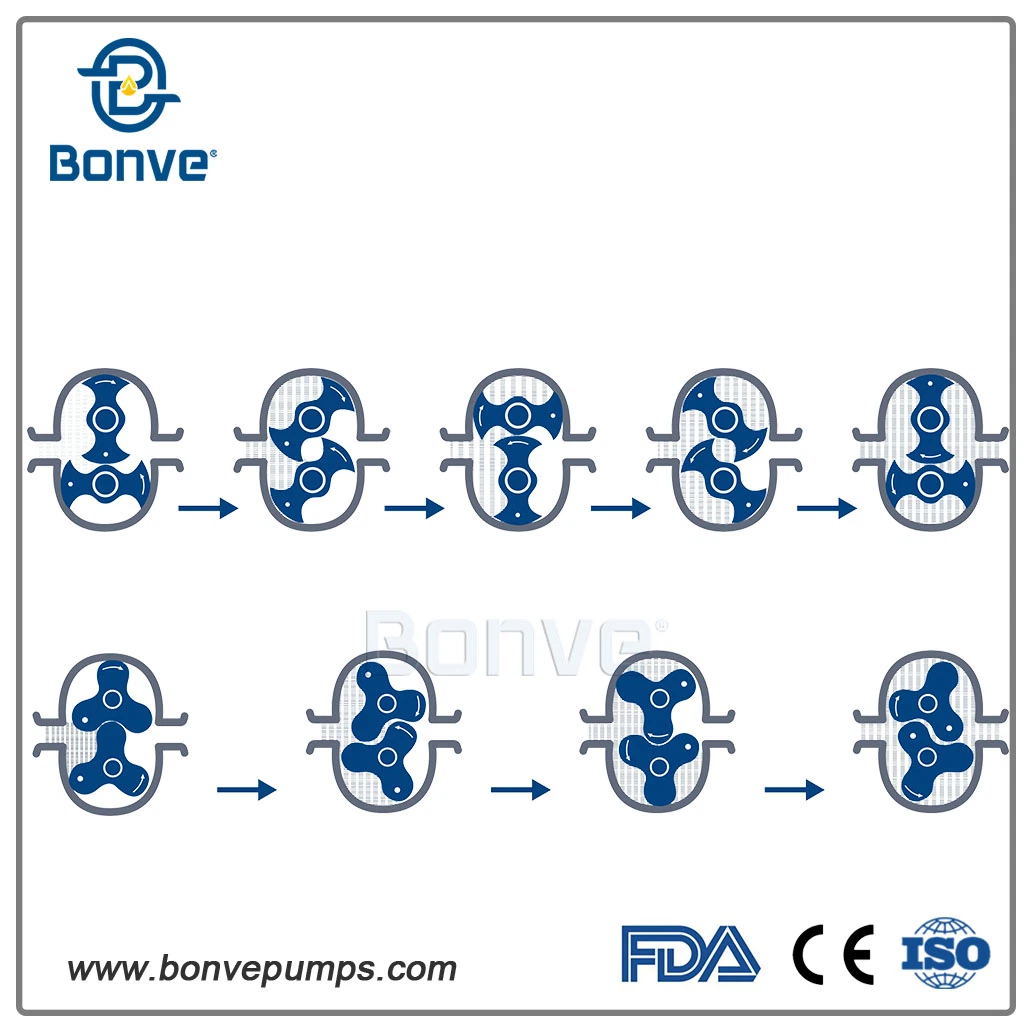 Pompe à lobes sanitaires / Pompes à lobes / Pompe à lobes chimiques à structure compacte