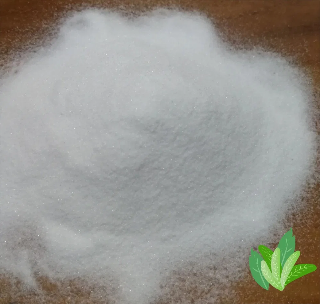 High quality/High cost performance  Nootropics 99% Powder Pramiracetam CAS 68497-62-1