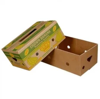 Rigid Corrugated Custom Printing Fresh Vegetable Mango Banana Fruit Packaging Carton Ship