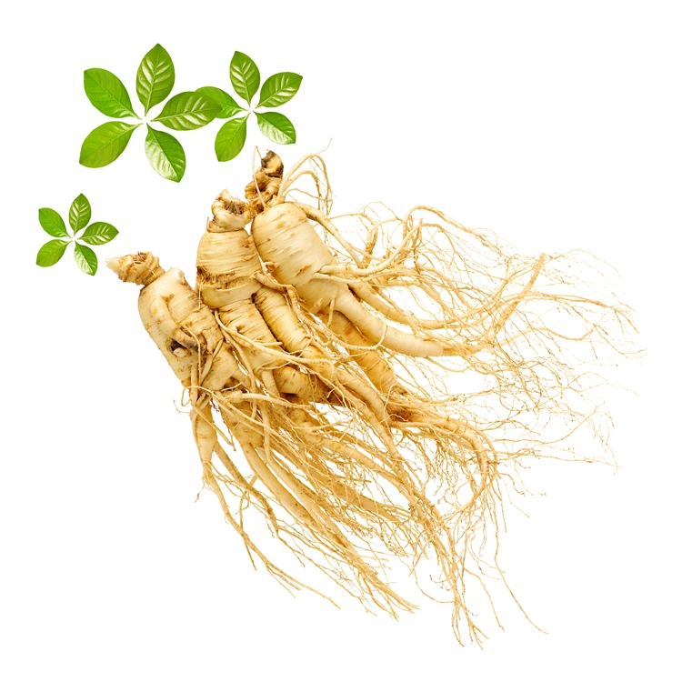 Pure Plant Extracts Improve Immunity Organic Ginsenosides Ginseng Extract Powder