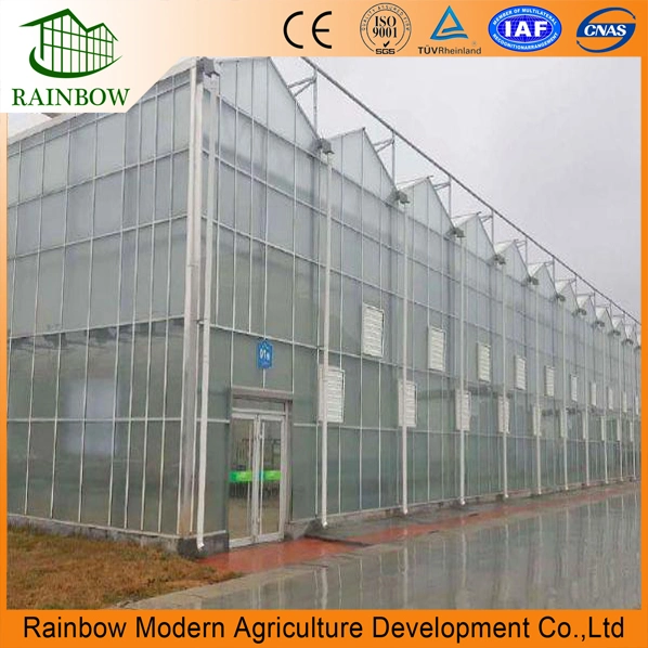 Venlo Roof Multi Span Polycarbonate Greenhouse