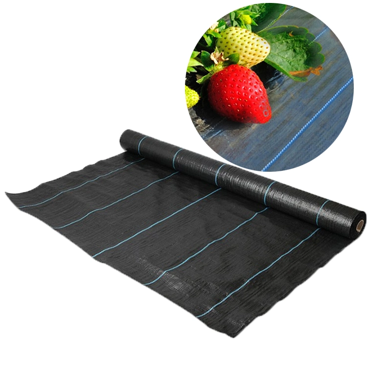 Plastic PP PE Black White Orange Green Woven Ground Cover Anti Weed Mat Fabric