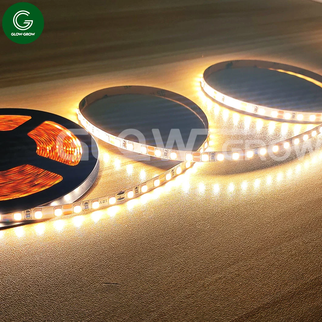 Warm White Factory 6mm Width IP20 2835 120 LEDs/M Naked Strip Light Tape Light for Commercial Places Event Decoration