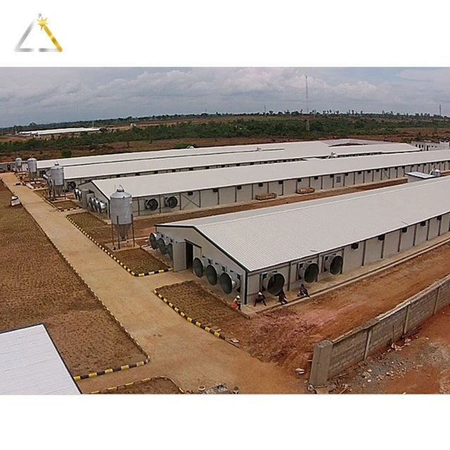 H Type Hot DIP Galvanized Steel Structure Poultry Farm House Building for Chickens Pigs Cows