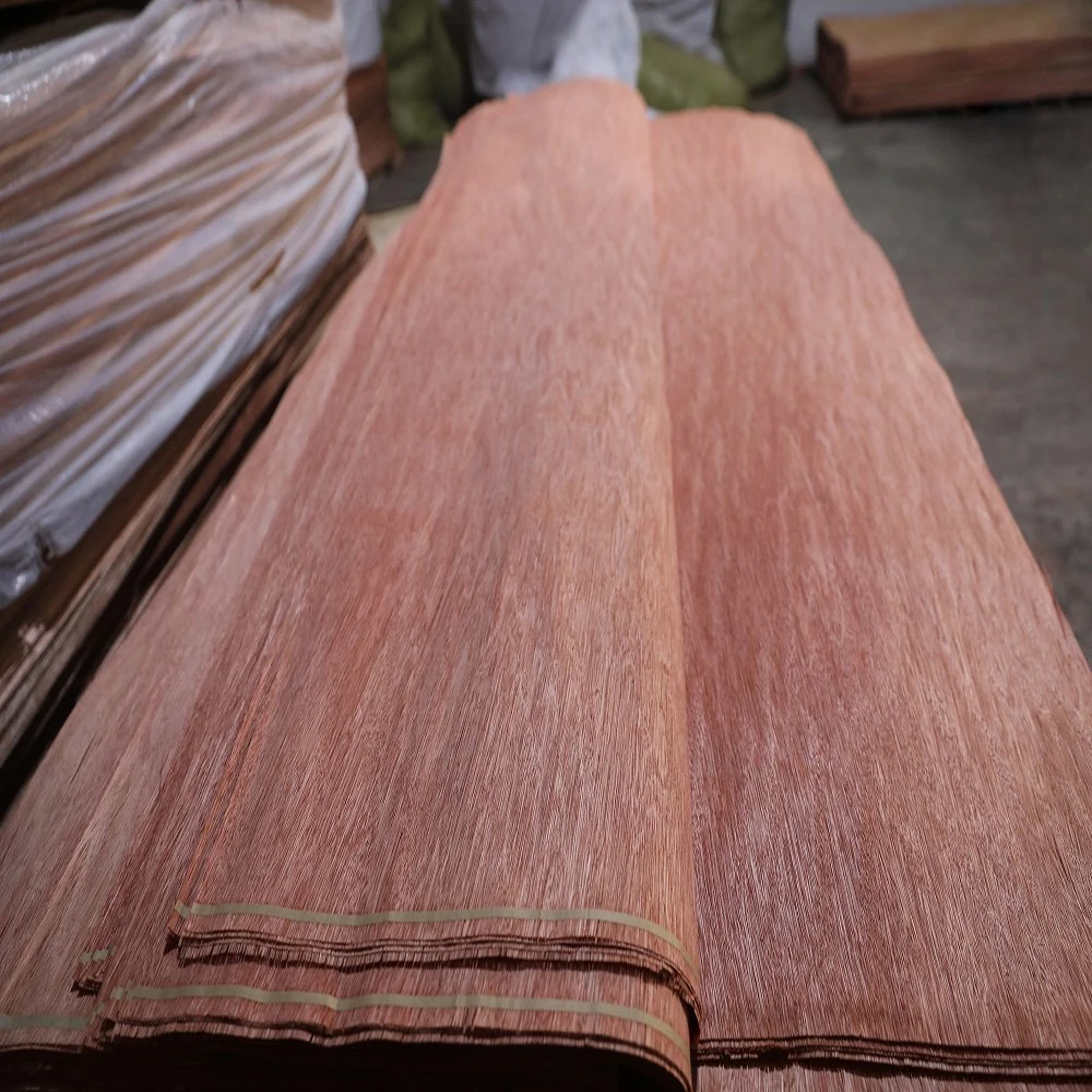 Cheap Price 3mm Wood Veneer Bintangor A Grade Rotary Cut Face Poplar Okoume Supplier