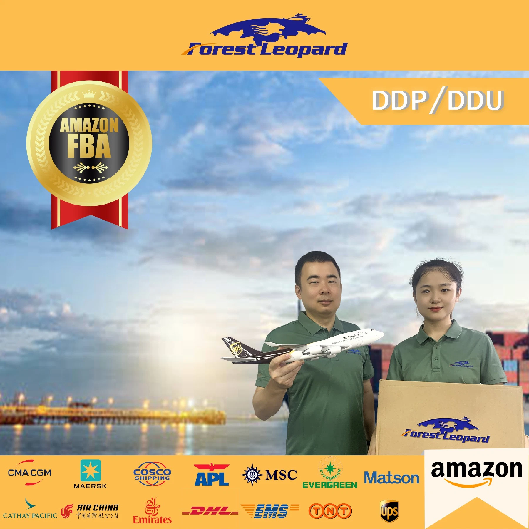 Freight Forwarder Transport DDP Amazon Fba Sea Freight to UK Italy France Poland New Zealand United States