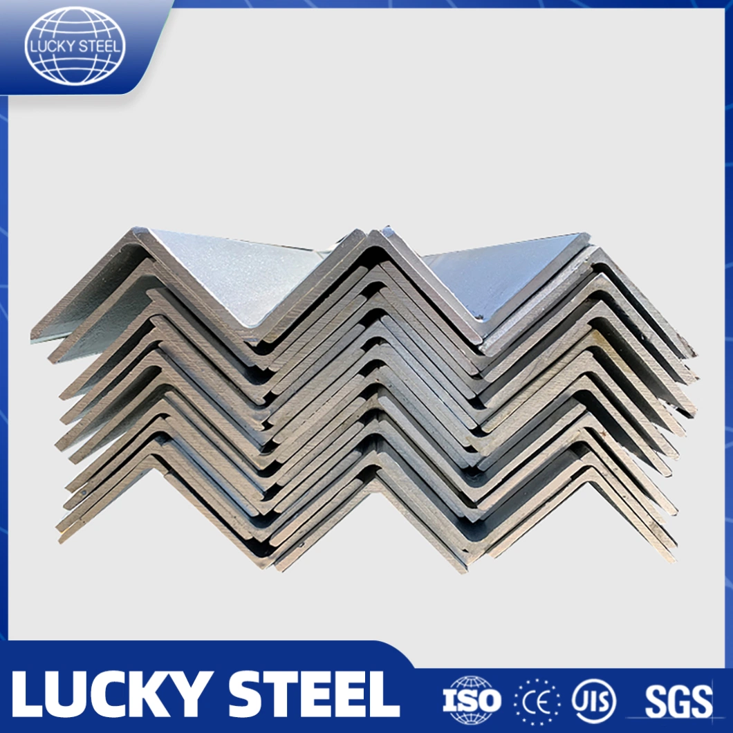 Galvanized BS En S355jr S355j0 Perforated L Shaped Steel Slotted Triangular Steel Bar Carbon Iron Angle Steel