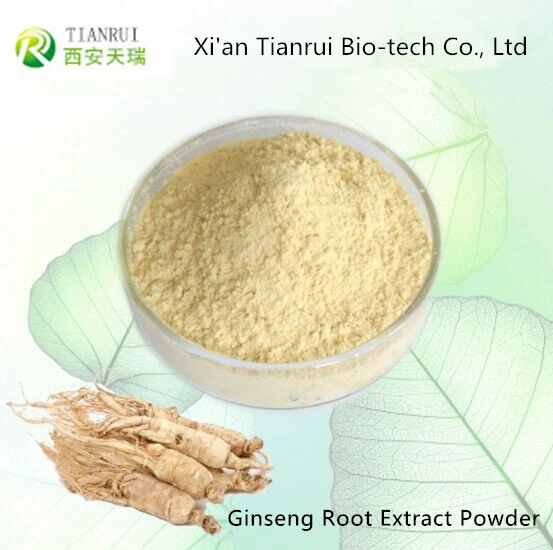 Fabricant d'alimentation Extrait de Ginseng pur poudre naturelle