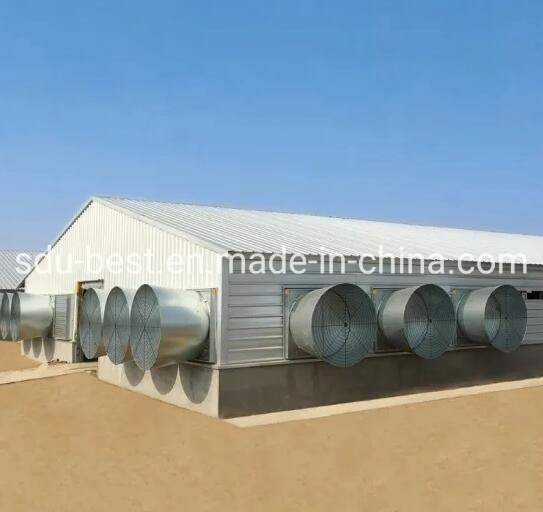 Cheap Agriculture Poultry Farm Chicken Broiler Auto Shed Equipment