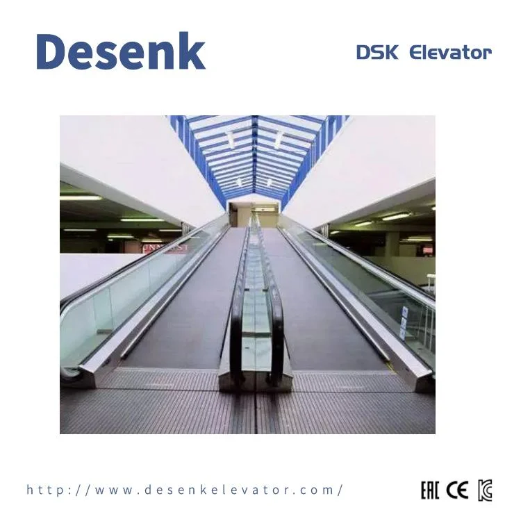 Indoor and Outdoor 35 Degree Escalator Price and Moving Sidewalk