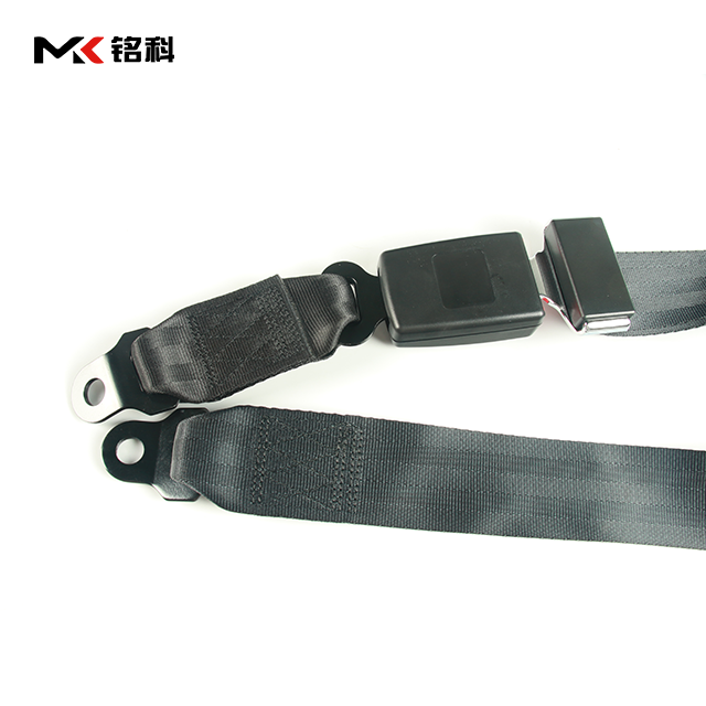 Belts with Changeable Buckles Safety Belts with Buckle Polyester 2 Points Universal Car Hanging Seat Belt