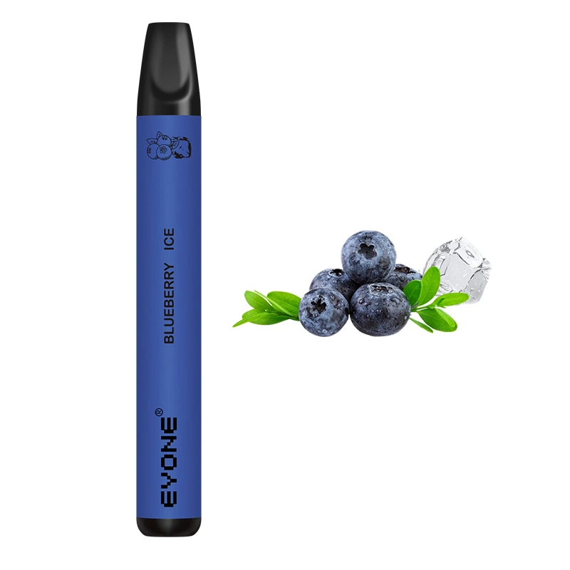 OEM Popular 600 Puffs Disposable/Chargeable Vape Pen High-End 2% Nicotine Electronic Cigarette