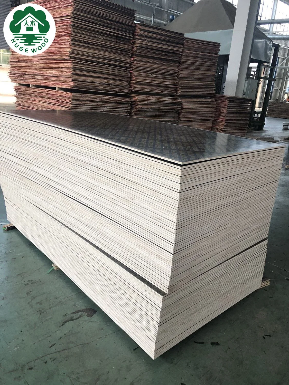 Oak Poplar Veneer Plywood Board with Melamine Paper Plywood Sheet