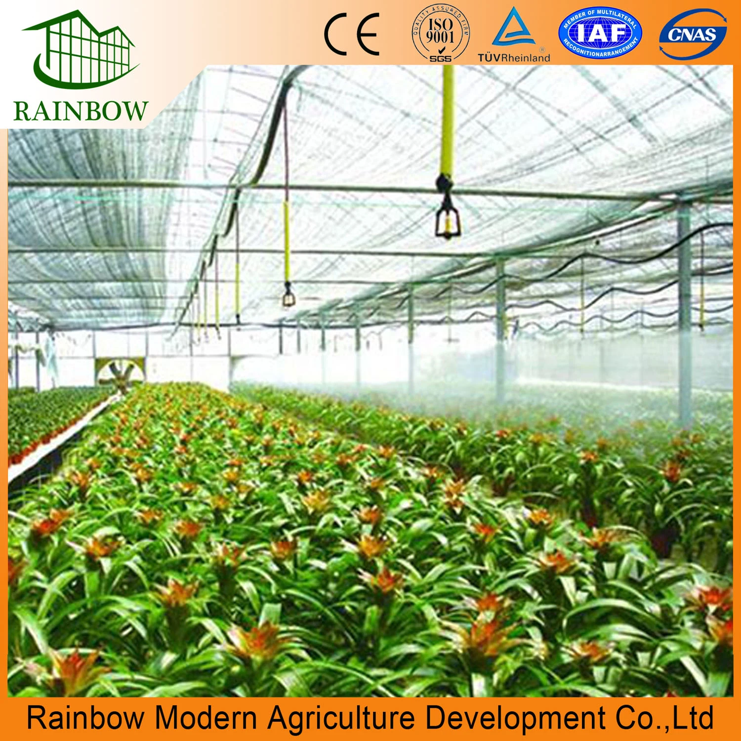 Film Greenhouse Irrigation System