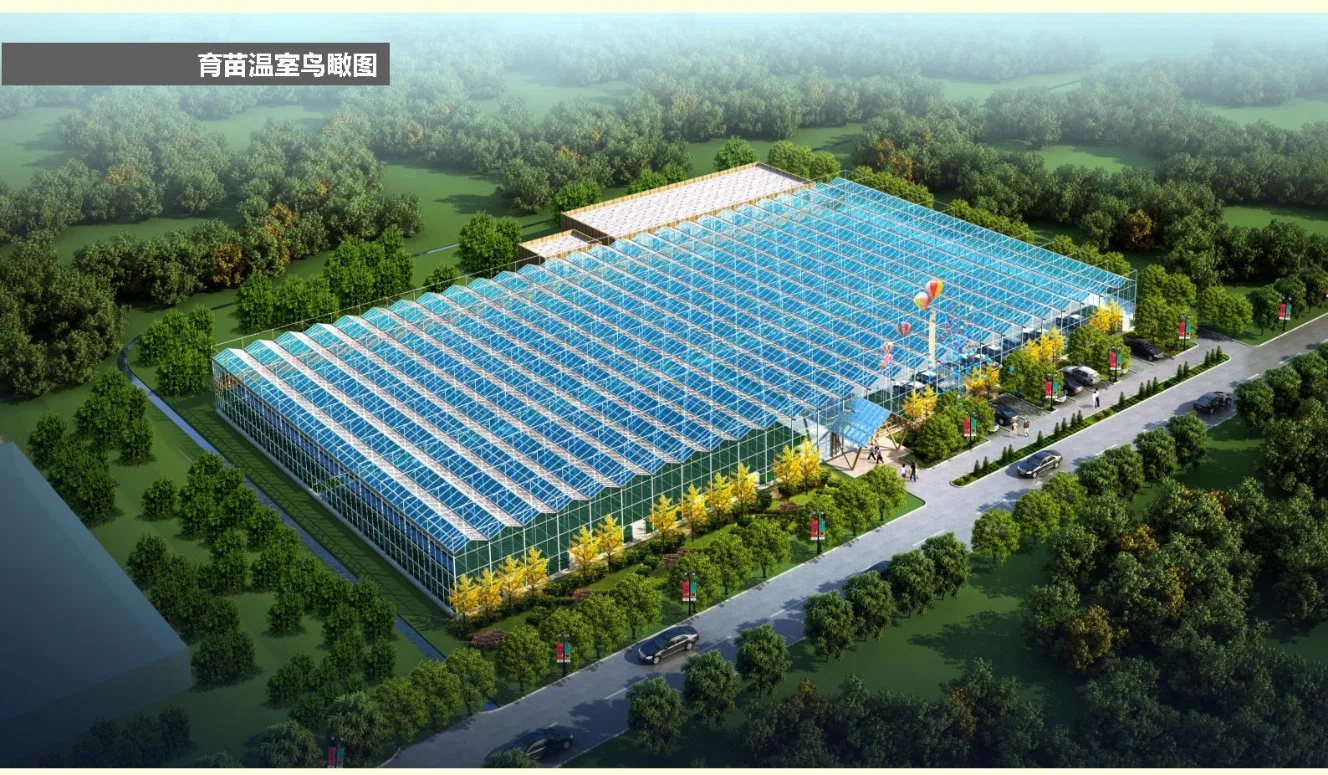 Large Automatic Intelligent Agricultural Serre Glass Green House with Soilless Culture Hydroponic Drip Irrigation System