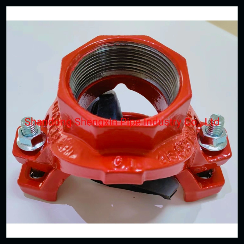 Sdsx Ductile Iron Grooved Fitting/Mech. Tee Female Thread BSPT FM, UL, CE