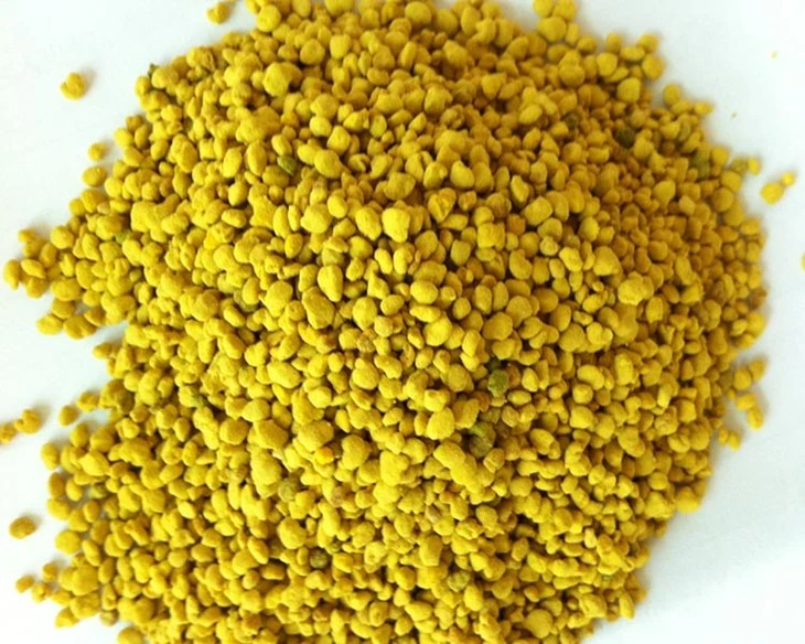 High quality/High cost performance Rape Pollen Protein Peptide Powder