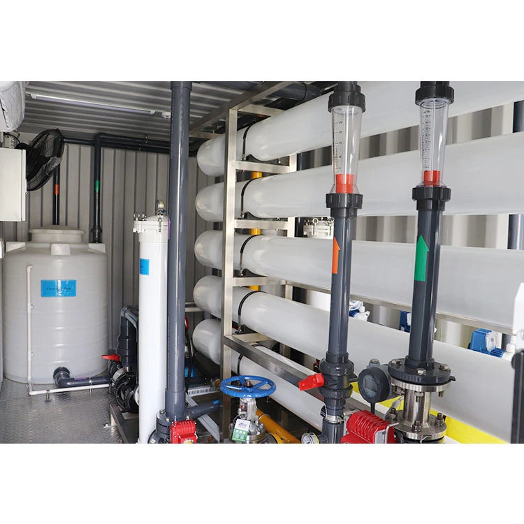 10000lph contenedor de agua de mar Desalinación planta de purificación de agua máquina de tratamiento RO Agua potable pura