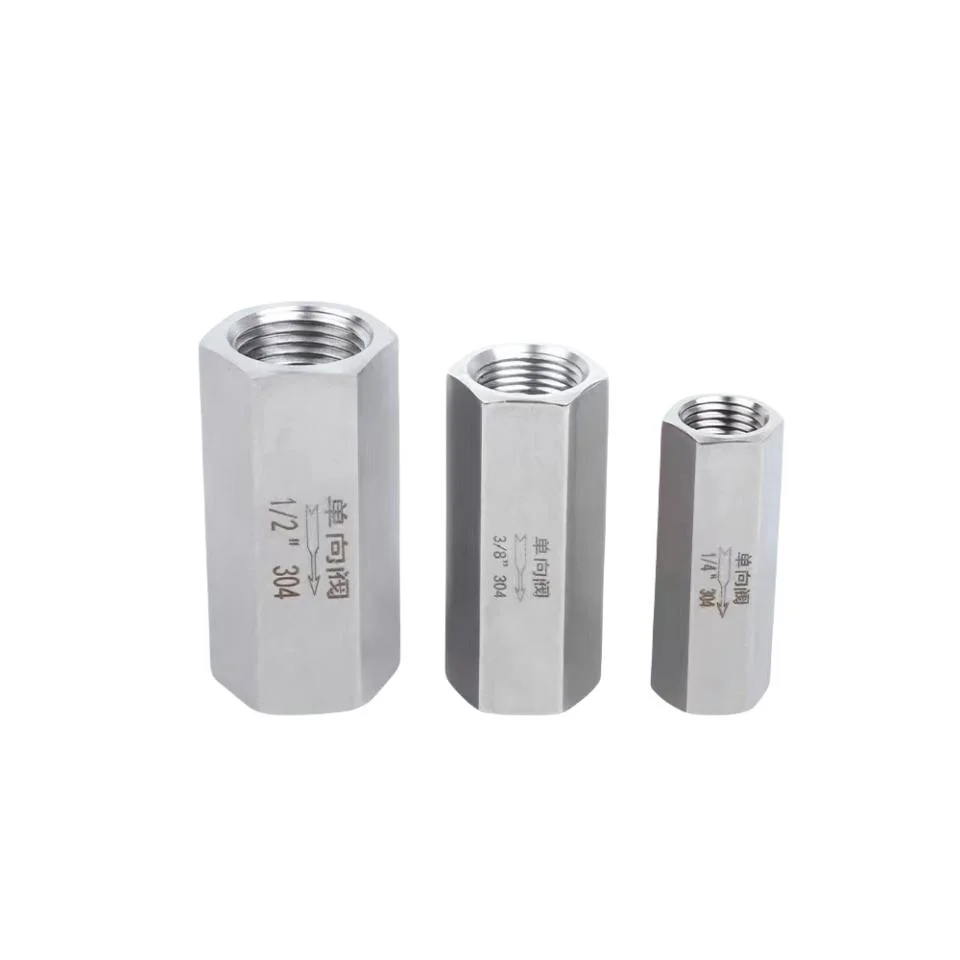 Stainless Steel Female Thread Check Valve High Pressure