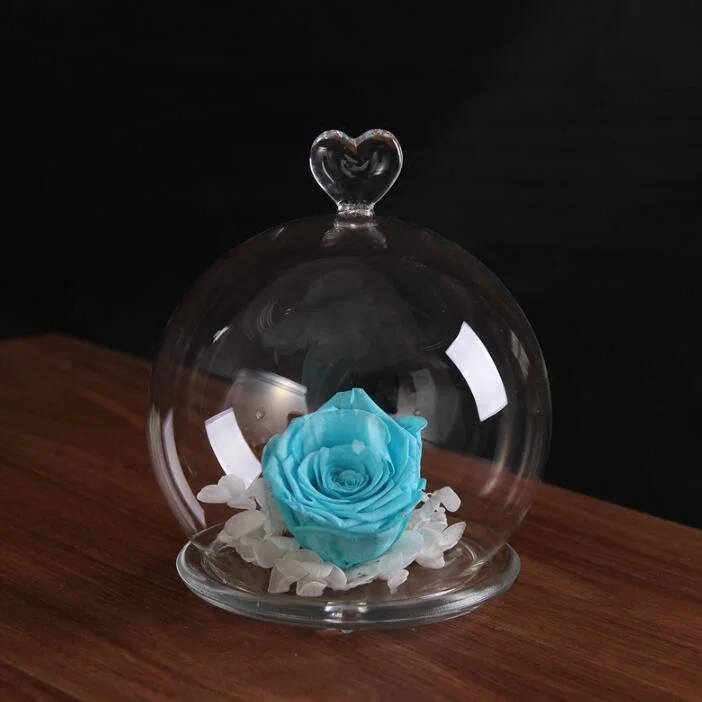 Customized Micro Landscape Glass Jar Gift Glass Jar Glass Home Decoration