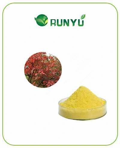 Factory Supply Cotinus Coggygria Extract Fisetin 50% Powder