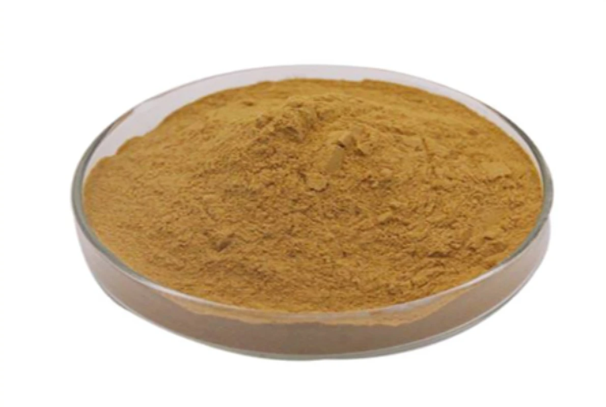 Factory Supplement Chinese Herbal Medicine Plant Extract Polygonum Aviculare Extract