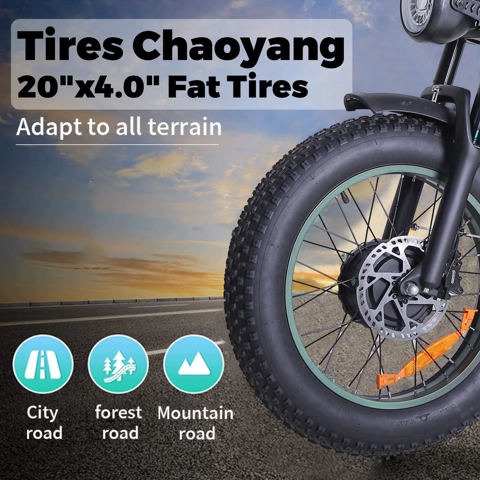 Electric Bike for Adults 1000W Motor 20'' *4 Fat Tire Mountain Dirt E-Bike 50 Miles 48V Ebike