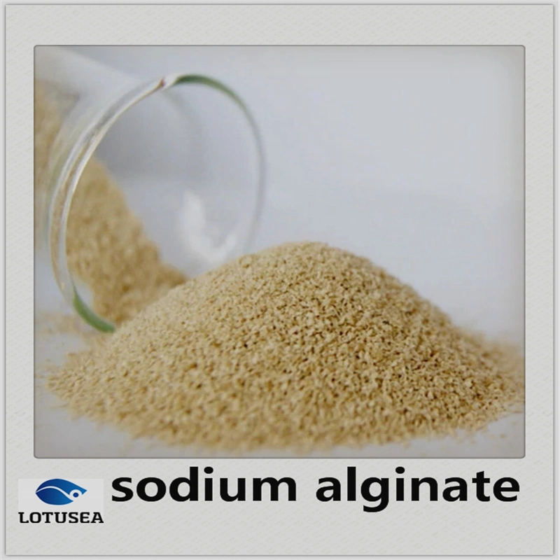 L'alginate de sodium pour l'utilisation de colorant réactive textiles 150mesh 6000CPS