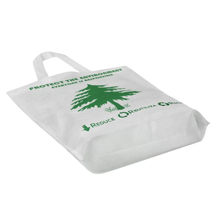 Reusable Recycle Environmental Grocery Supermarket Shopping Mall Carrier Non Woven Bags Customized Available