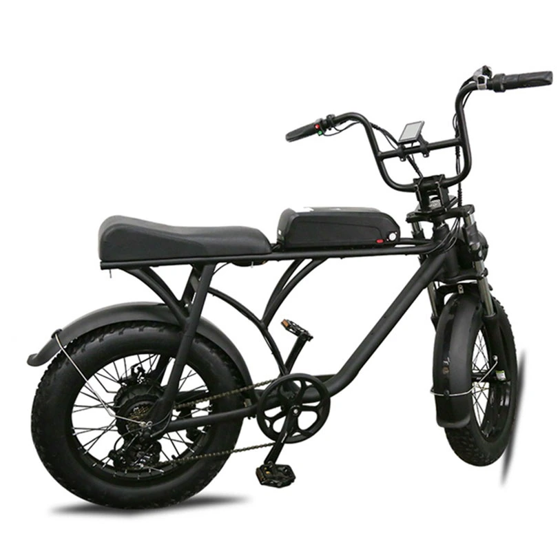CE E Bike vélo électrique 750W 48V moteur moyeu arrière léger Vélo Electrique Vélo urbain