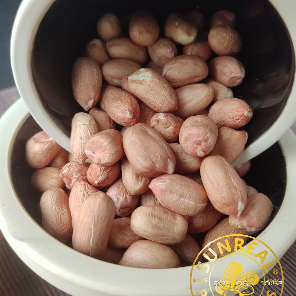 Raw Peanut Kernels/Virginia 24/28 الصين / كل التراخيص والشهادات الضرورية / علامة تجارية موثوق بها