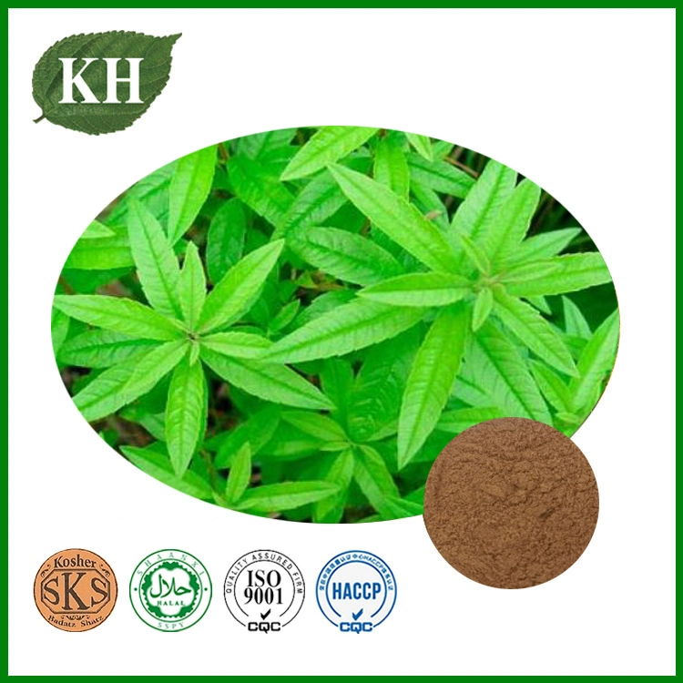 Natural Lemon Verbena Extract 10: 1