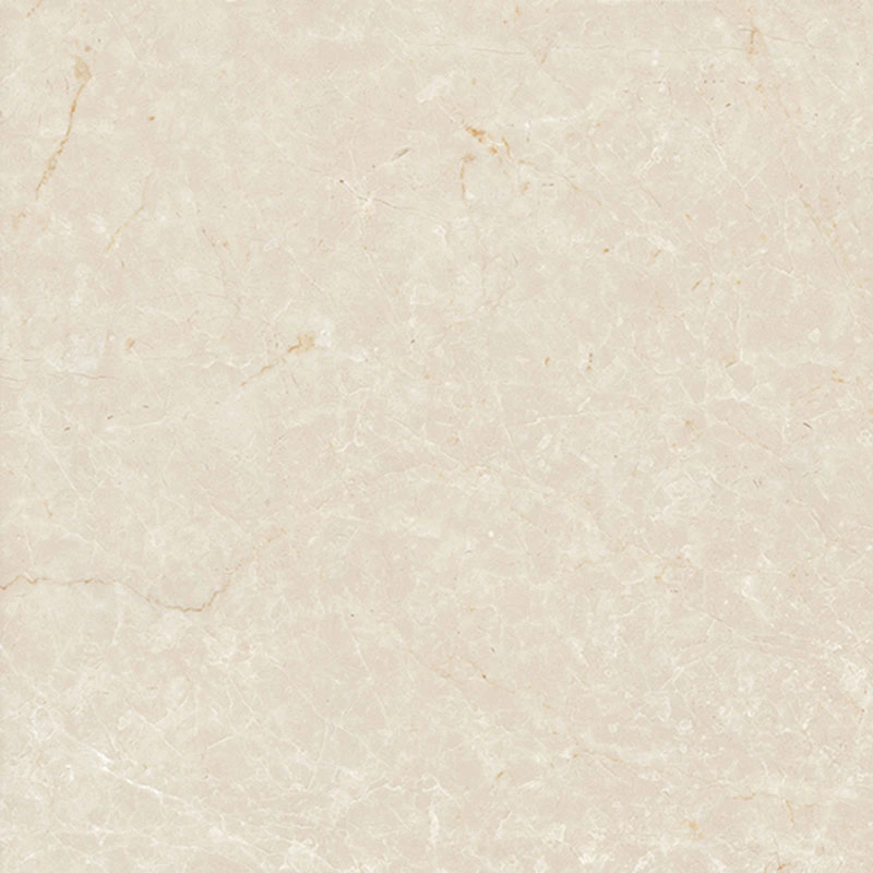 China Low Price Porcelain Floor and Wall Tile