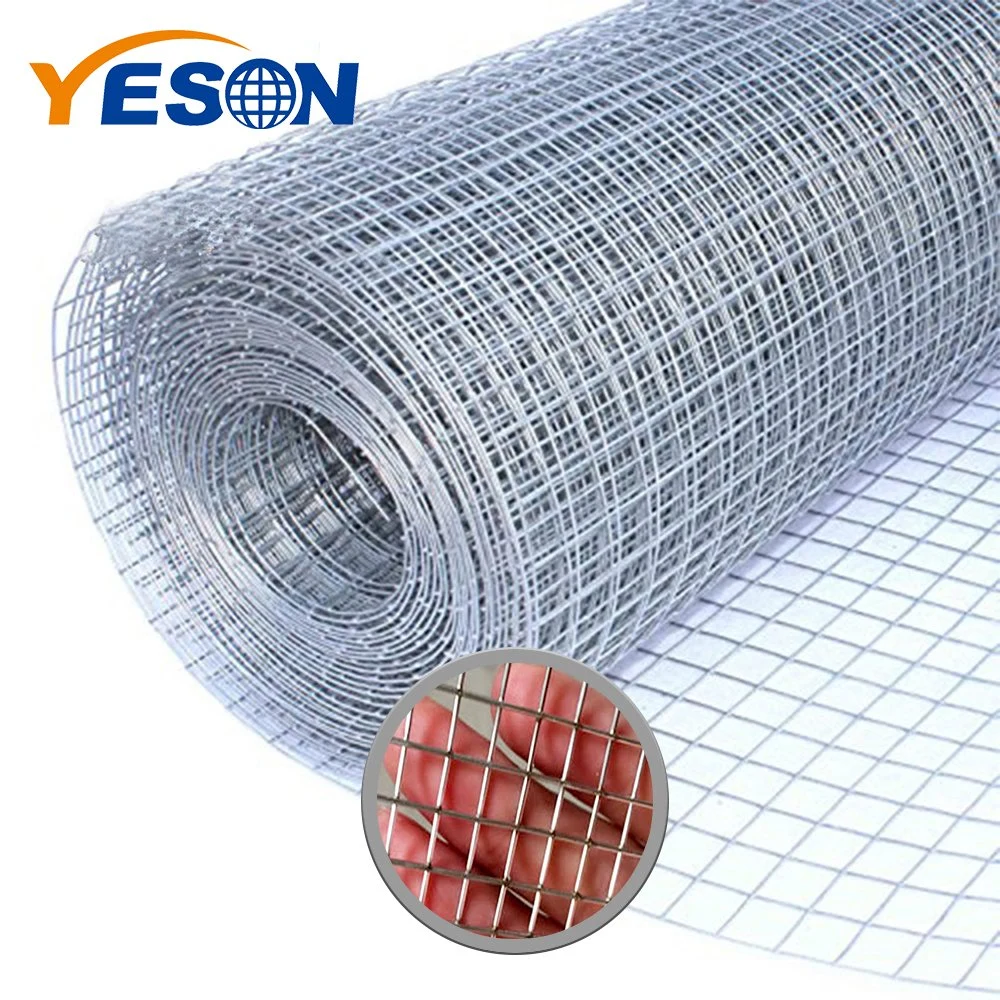 China Anping Manufacturer High quality/High cost performance  Galvanized Welded Wire Mesh for Bird Cage