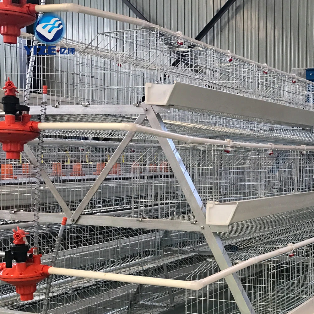 China fábrica Fabricación Venta caliente abono automático de extracción de las correas para el Pollo de jaulas en batería